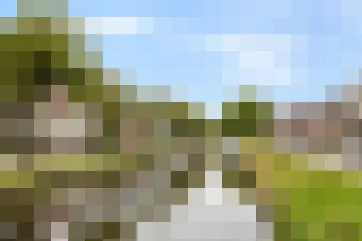 Mercuriuslaan 69 Wildervank thumbnail 34