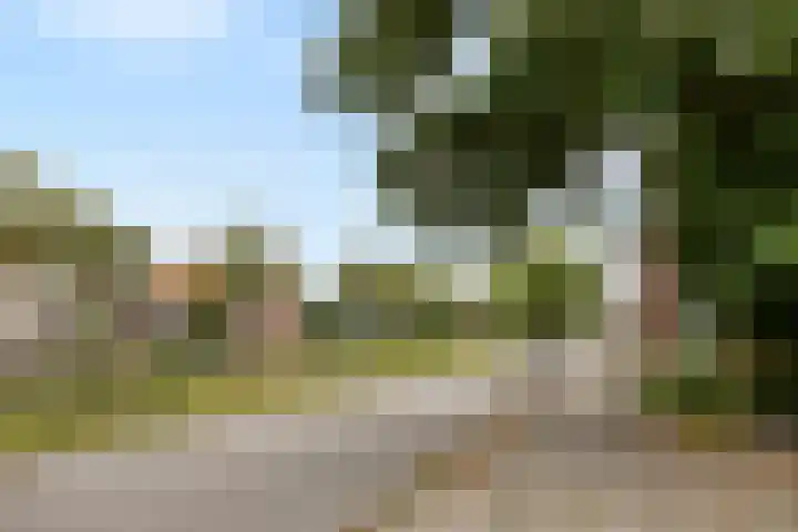Mercuriuslaan 69 Wildervank thumbnail 36