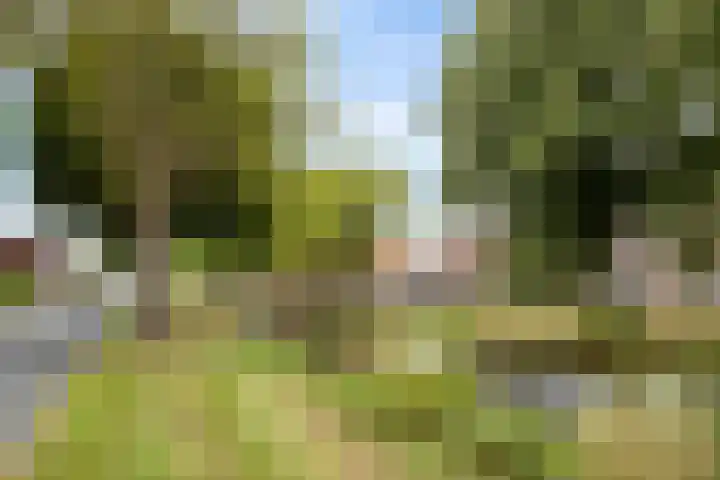 Mercuriuslaan 69 Wildervank thumbnail 38