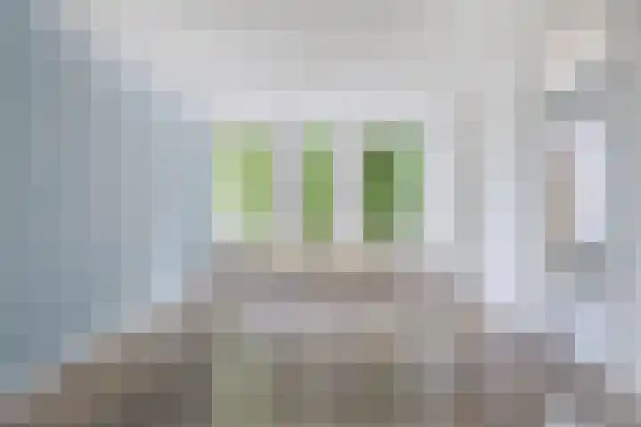 Mercuriuslaan 69 Wildervank thumbnail 4