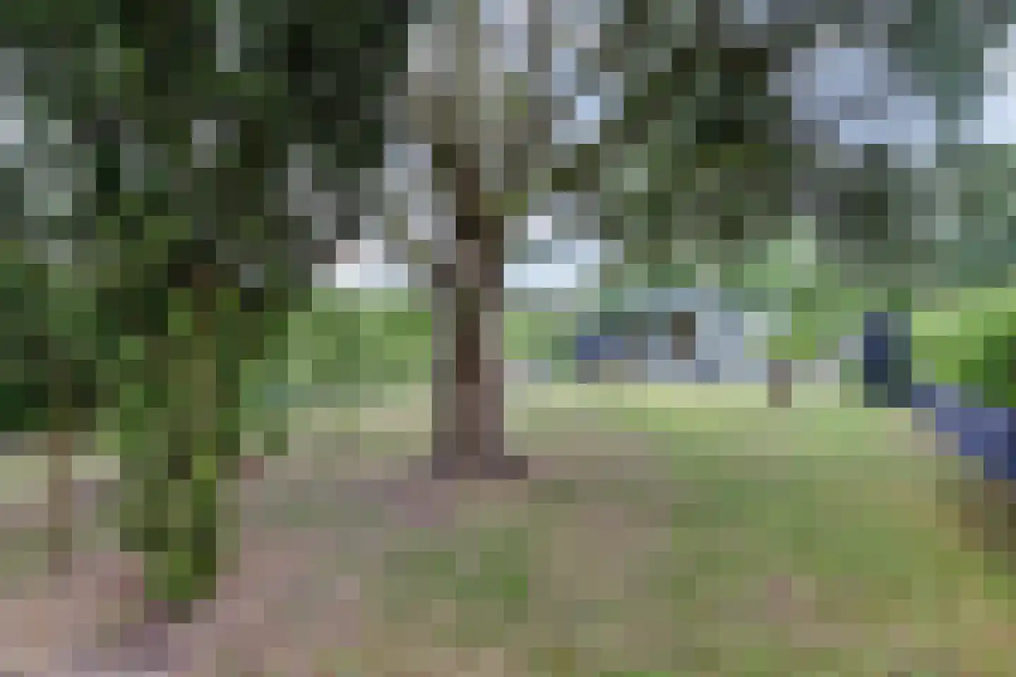 Mercuriuslaan 9 Kamperland thumbnail 28