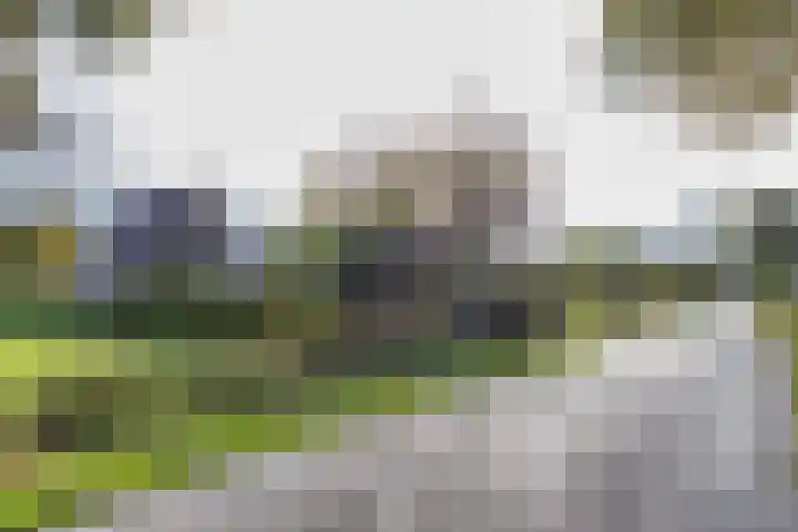 Mercuriuspad 24 Heerlen thumbnail 7