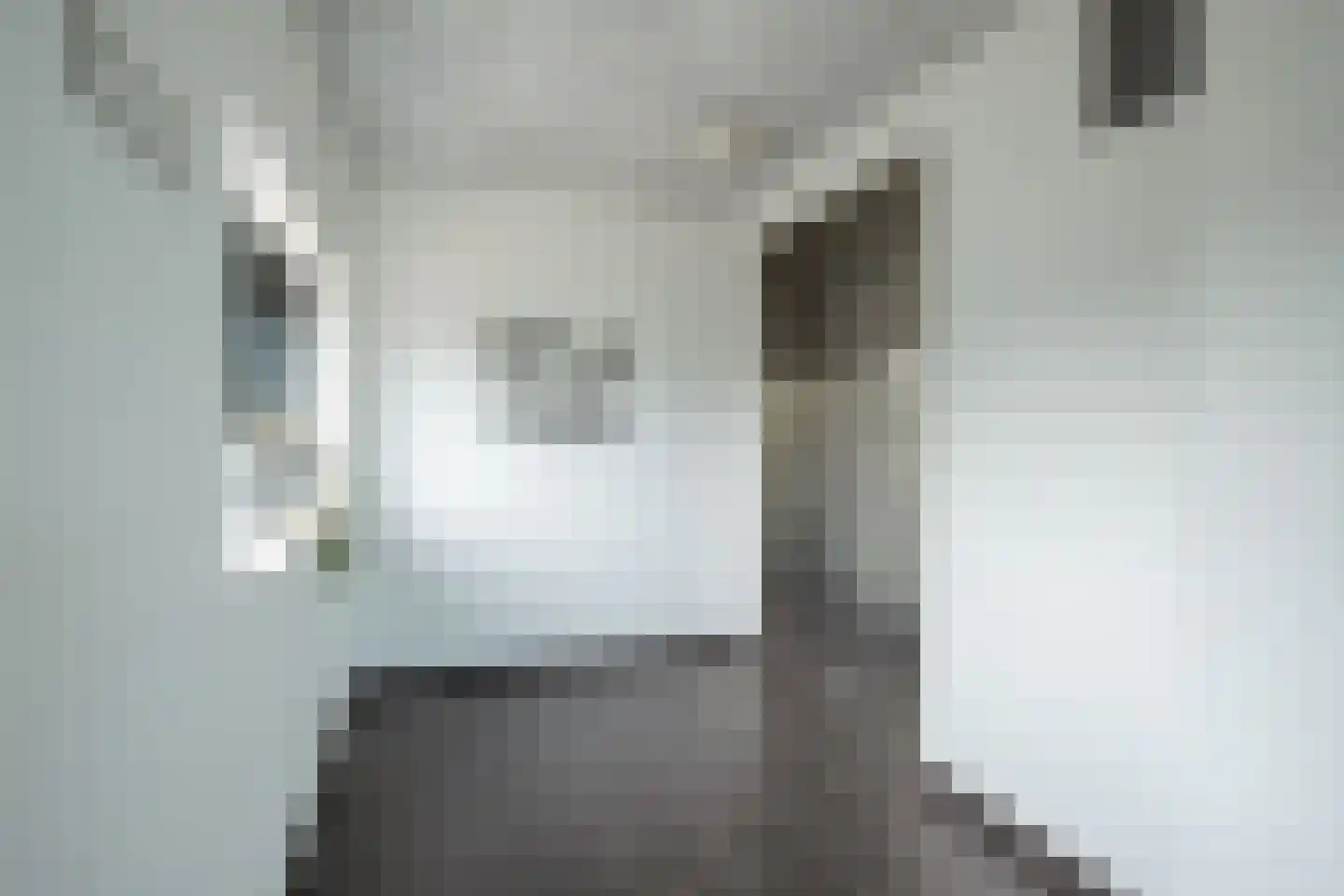 Mercuriuspad 30 Heerlen thumbnail 20