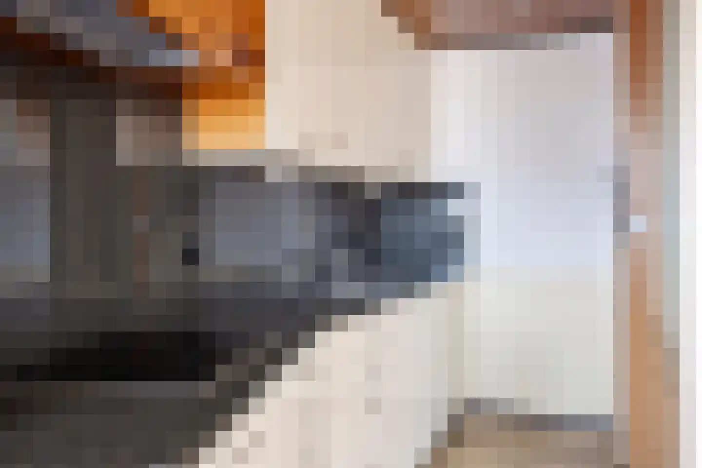 Mercuriusplein 15 Berlicum thumbnail 19