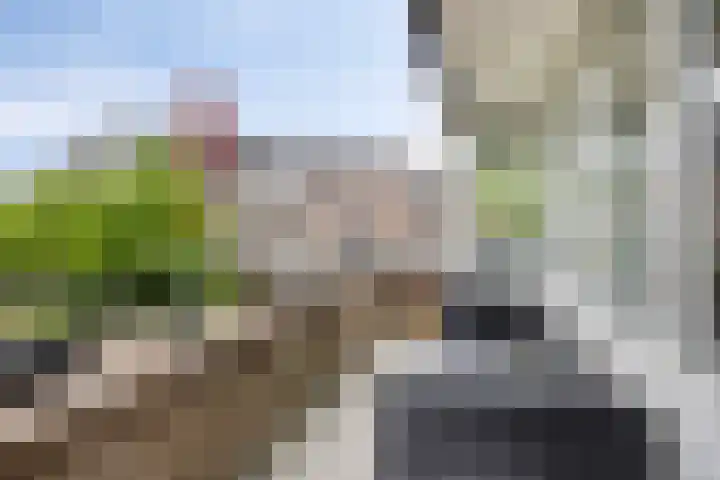 Mercuriusplein 38 Berlicum thumbnail 10