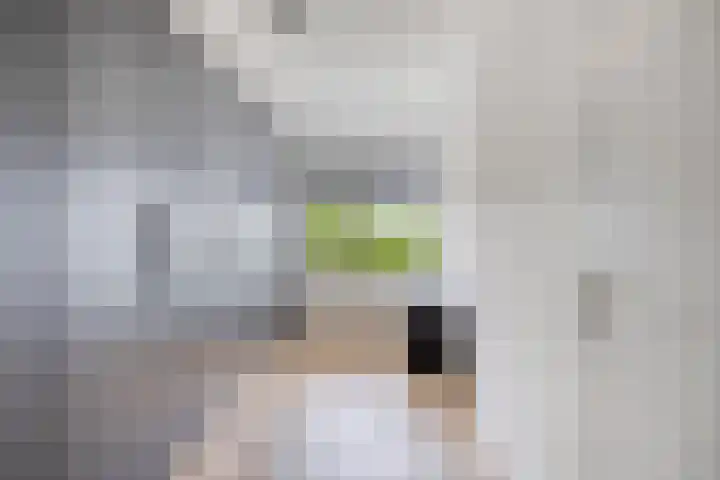 Mercuriusplein 38 Berlicum thumbnail 18