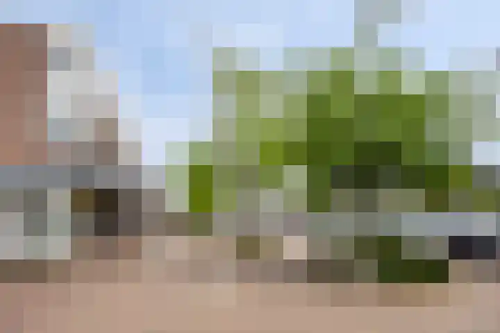 Mercuriusplein 38 Berlicum thumbnail 20
