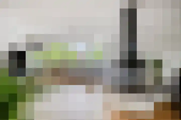 Mercuriusplein 38 Berlicum thumbnail 4