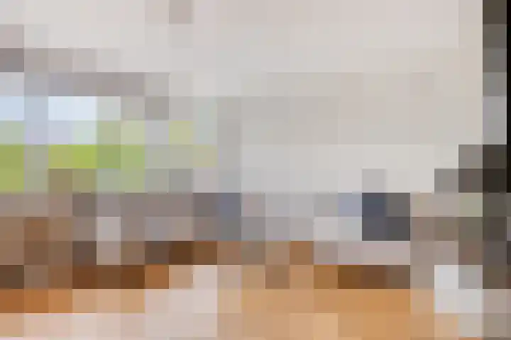 Mercuriusplein 38 Berlicum thumbnail 7