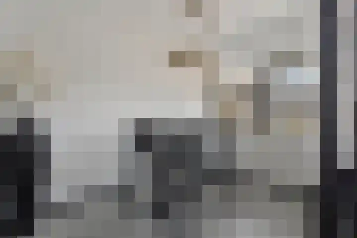 Mercuriusplein 41 Berlicum thumbnail 11