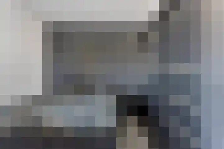 Mercuriusplein 41 Berlicum thumbnail 18