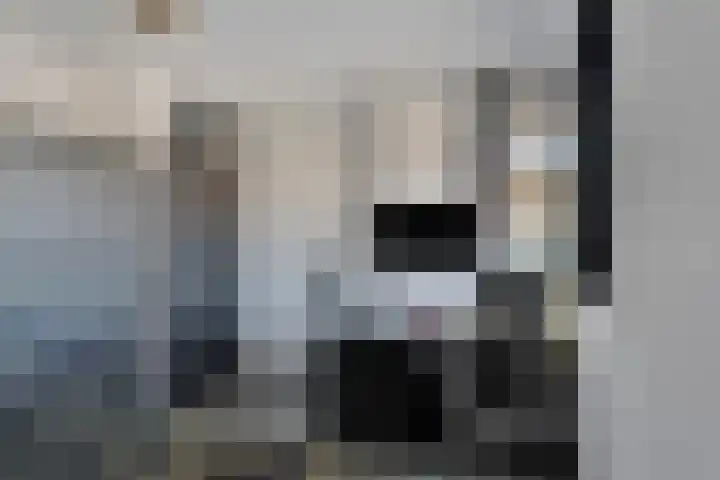 Mercuriusplein 41 Berlicum thumbnail 19