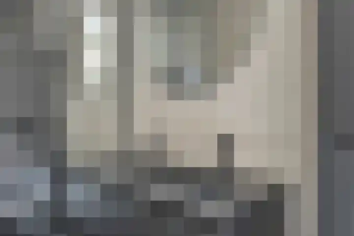 Mercuriusplein 41 Berlicum thumbnail 22