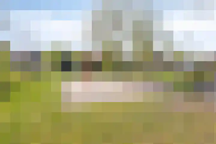 Mercuriusplein 41 Berlicum thumbnail 26