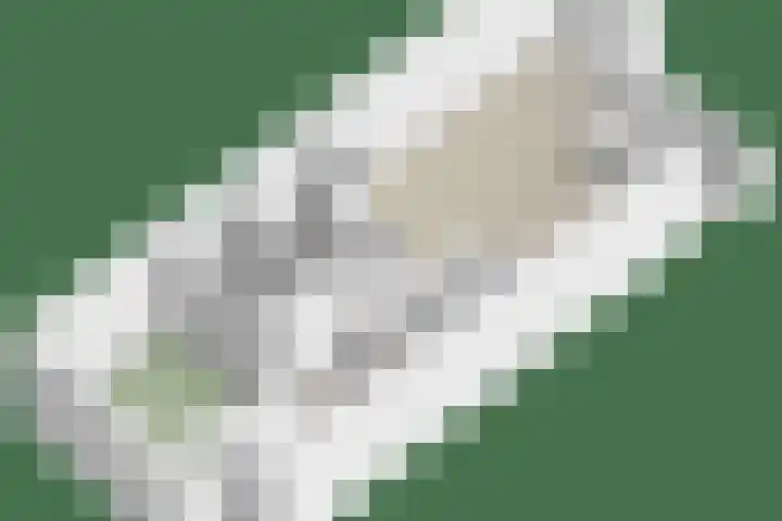 Mercuriusplein 41 Berlicum thumbnail 28
