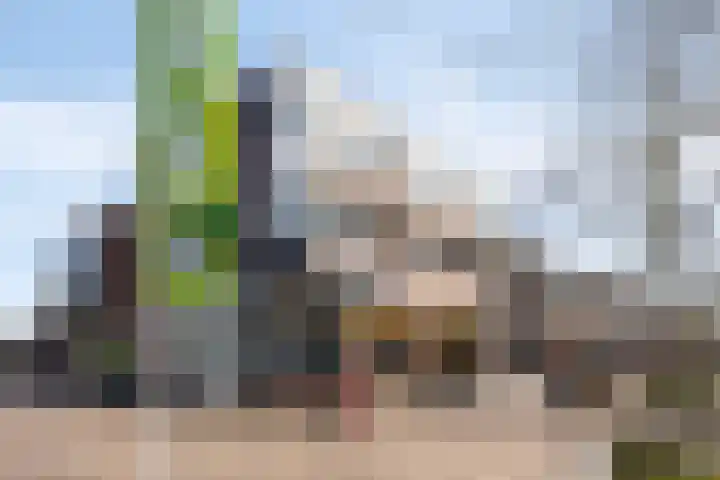 Mercuriusplein 41 Berlicum thumbnail 30