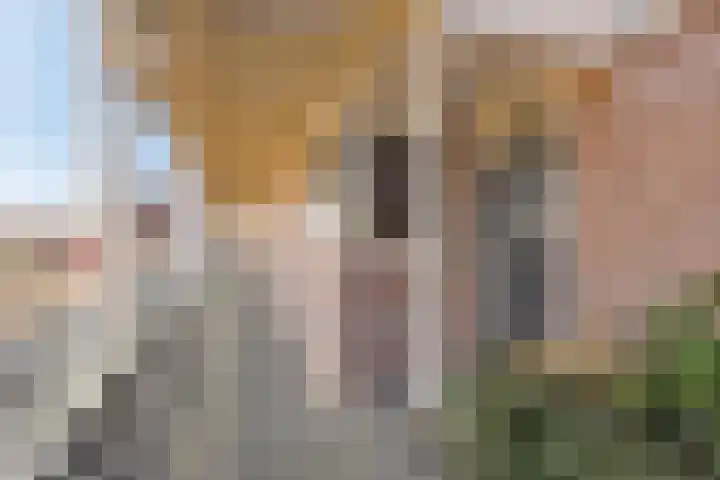 Mercuriusplein 41 Berlicum thumbnail 7