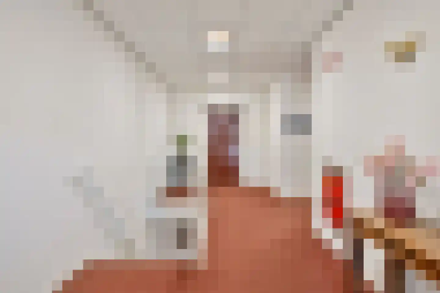 Mercuriusplein 7 Berlicum thumbnail 11