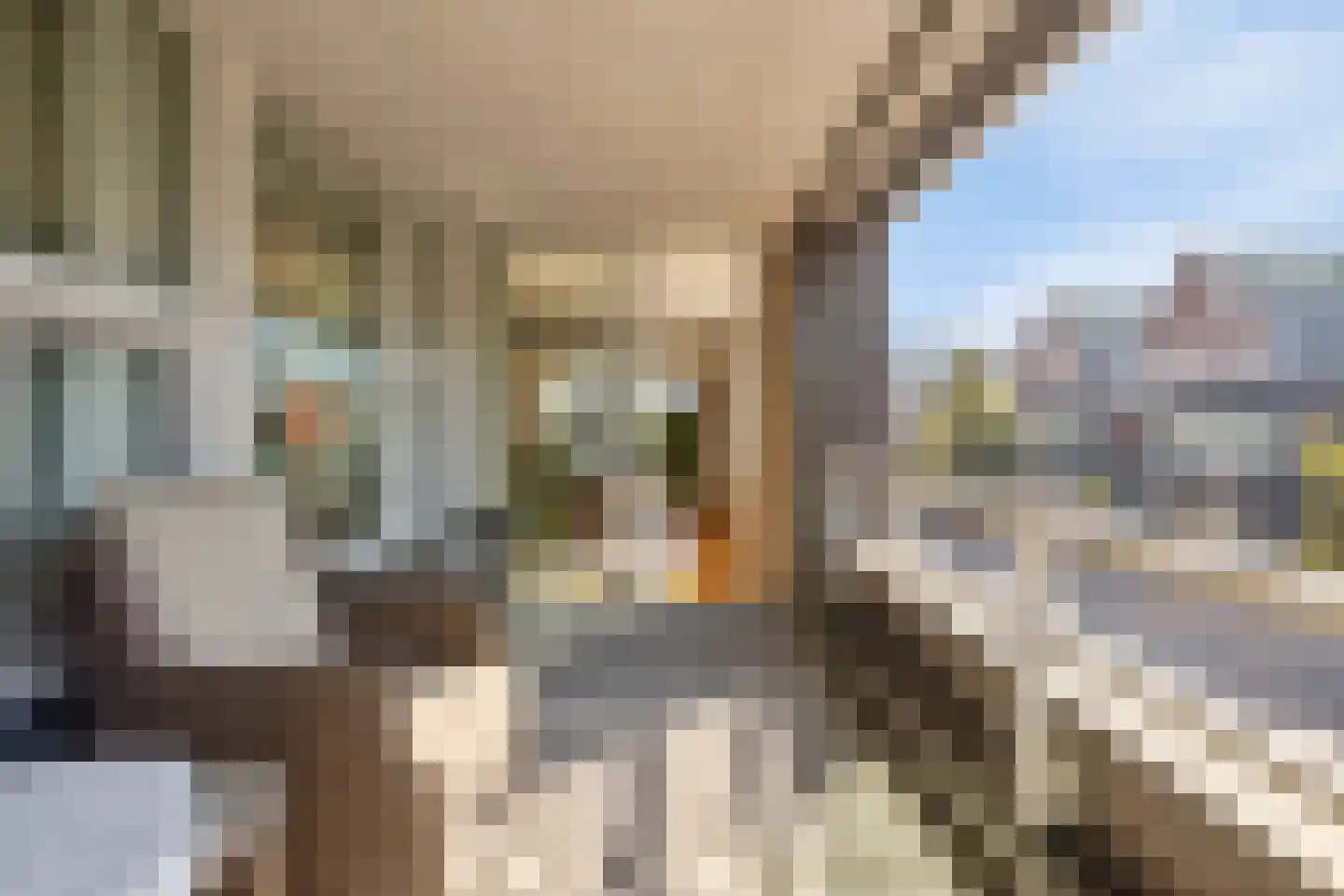Mercuriusplein 7 Berlicum thumbnail 22