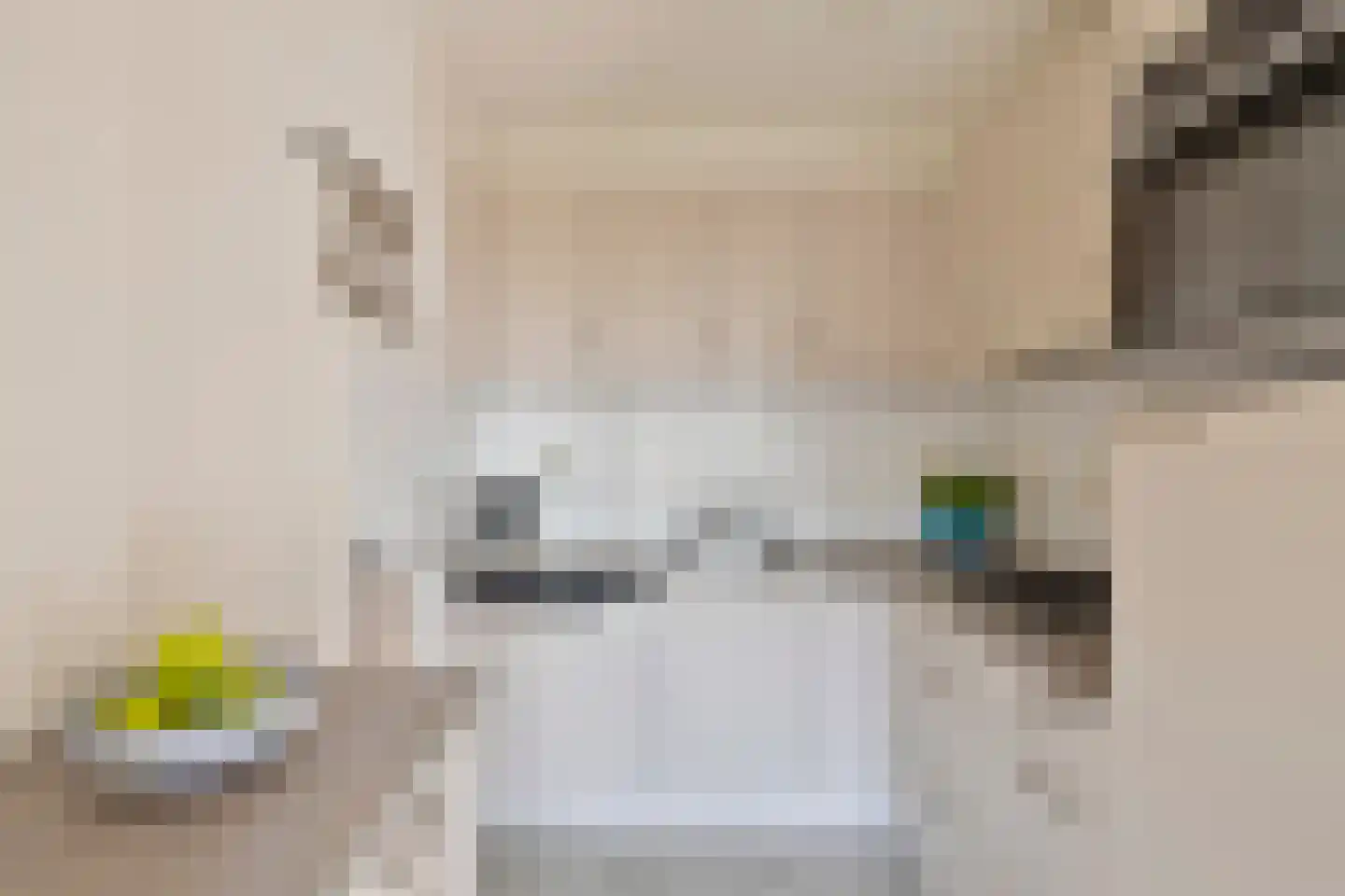 Mercuriusplein 7 Berlicum thumbnail 5
