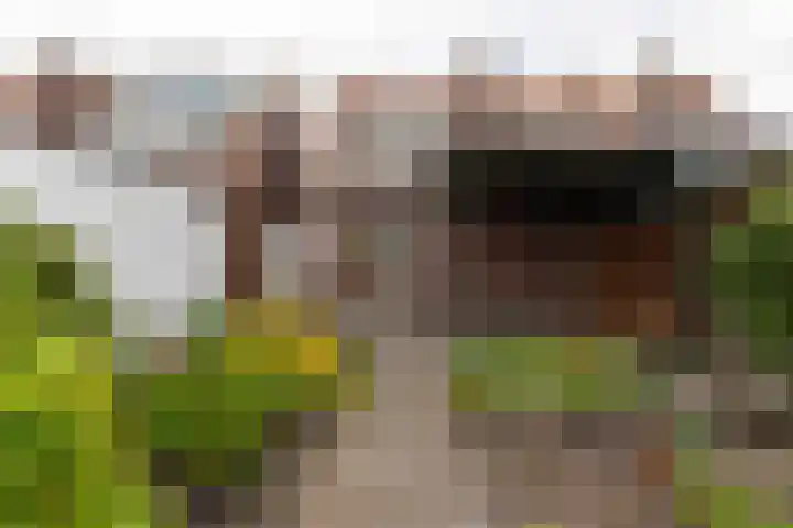 Mercuriusplein 8 Enschede thumbnail 23