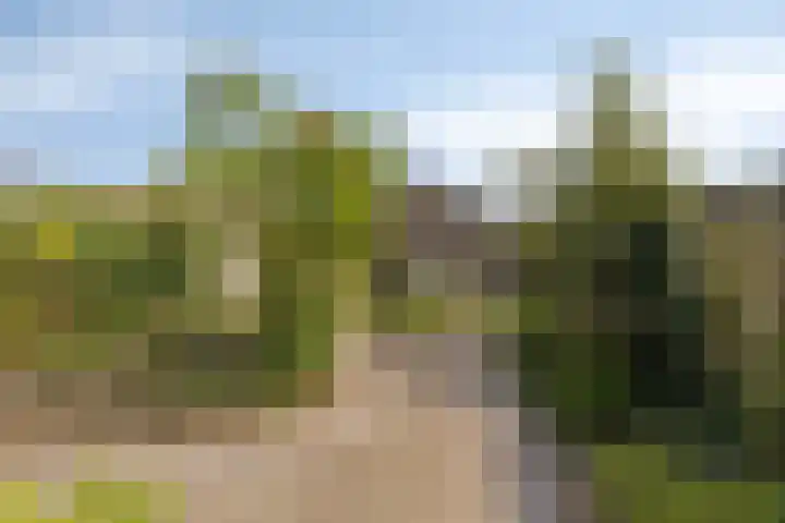 Mercuriusstraat 12 Asten thumbnail 28