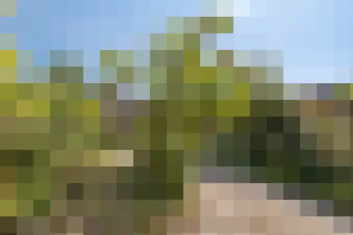 Mercuriusstraat 12 Asten thumbnail 29