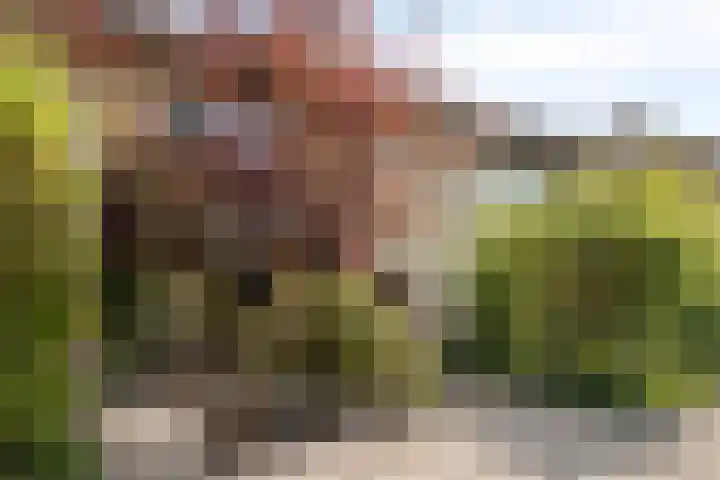 Mercuriusstraat 12 Asten thumbnail 39