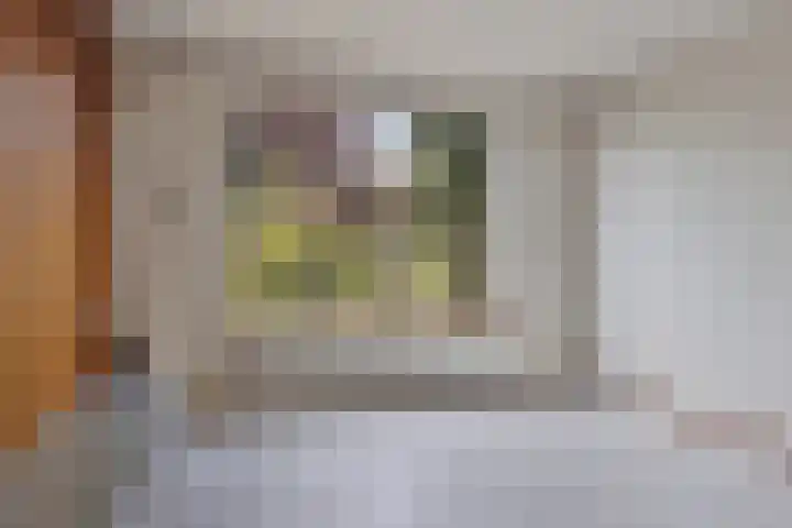 Mercuriusstraat 12 Asten thumbnail 4