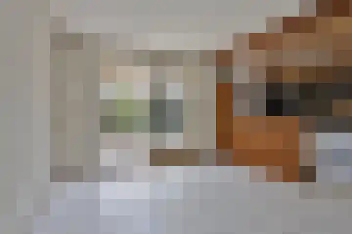 Mercuriusstraat 12 Asten thumbnail 6
