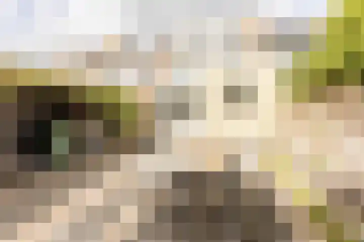 Mercuriusstraat 14 Oudorp thumbnail 39