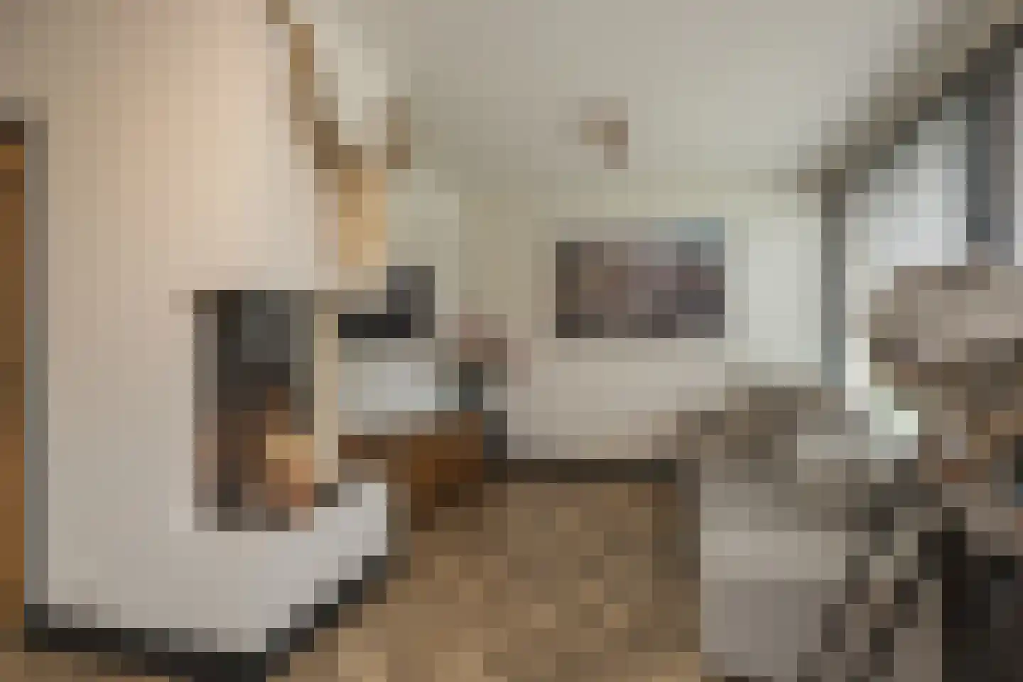 Mercuriusstraat 15 Sassenheim thumbnail 9