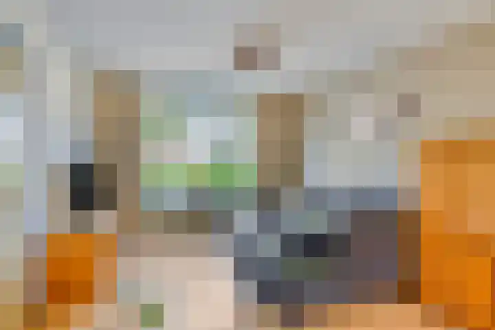 Mercuriusstraat 20 Asten thumbnail 10