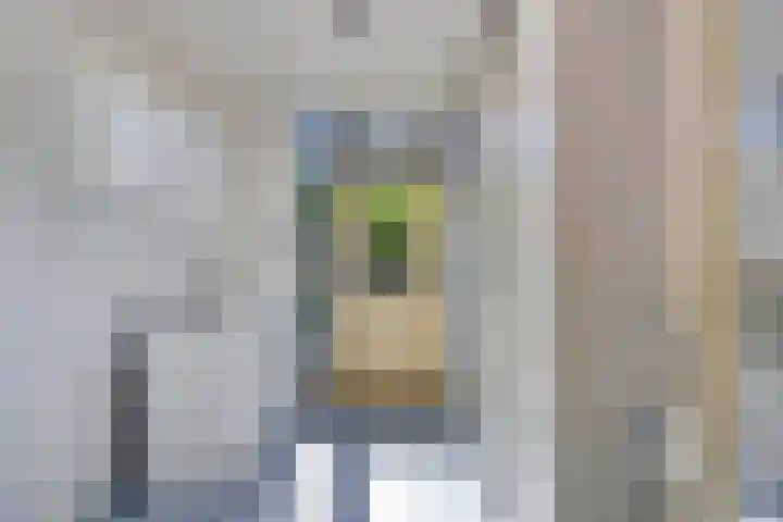 Mercuriusstraat 20 Asten thumbnail 15