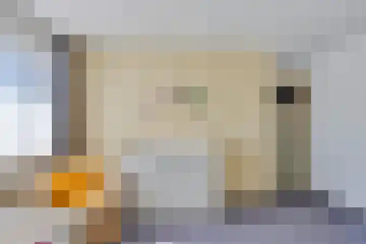 Mercuriusstraat 20 Asten thumbnail 20