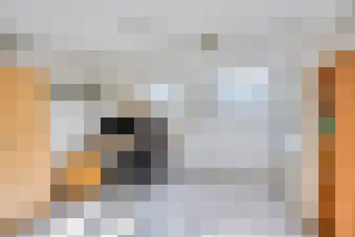 Mercuriusstraat 20 Asten thumbnail 25