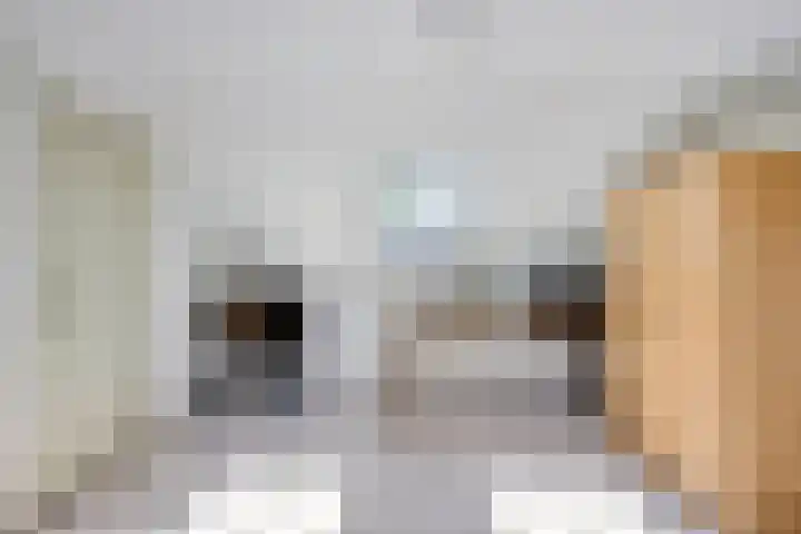 Mercuriusstraat 20 Asten thumbnail 26