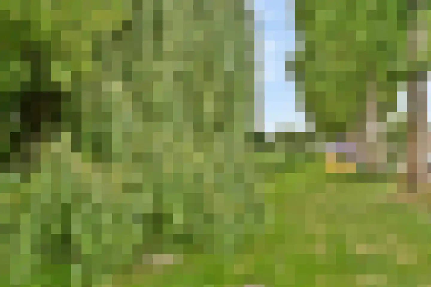 Mercuriusstraat 209 Sassenheim thumbnail 24