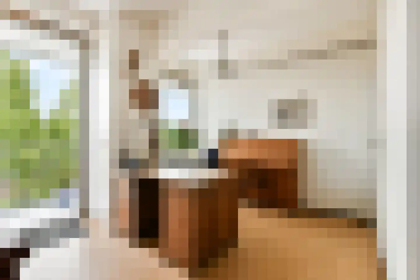 Mercuriusstraat 209 Sassenheim thumbnail 5