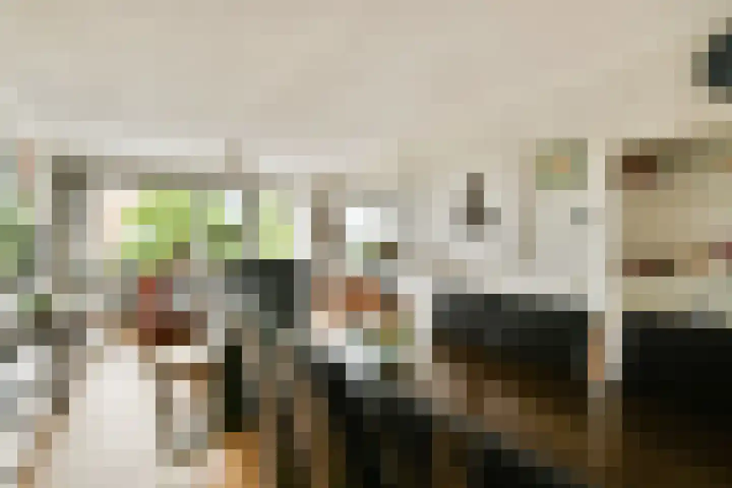 Mercuriusstraat 209 Sassenheim thumbnail 7