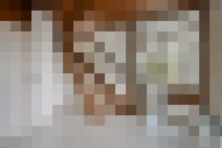 Mercuriusstraat 23 Berkel en Rodenrijs thumbnail 4