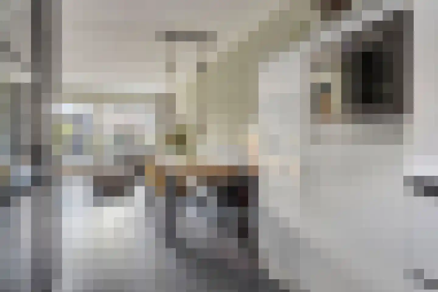 Mercuriusstraat 24 Nieuw-Lekkerland thumbnail 11