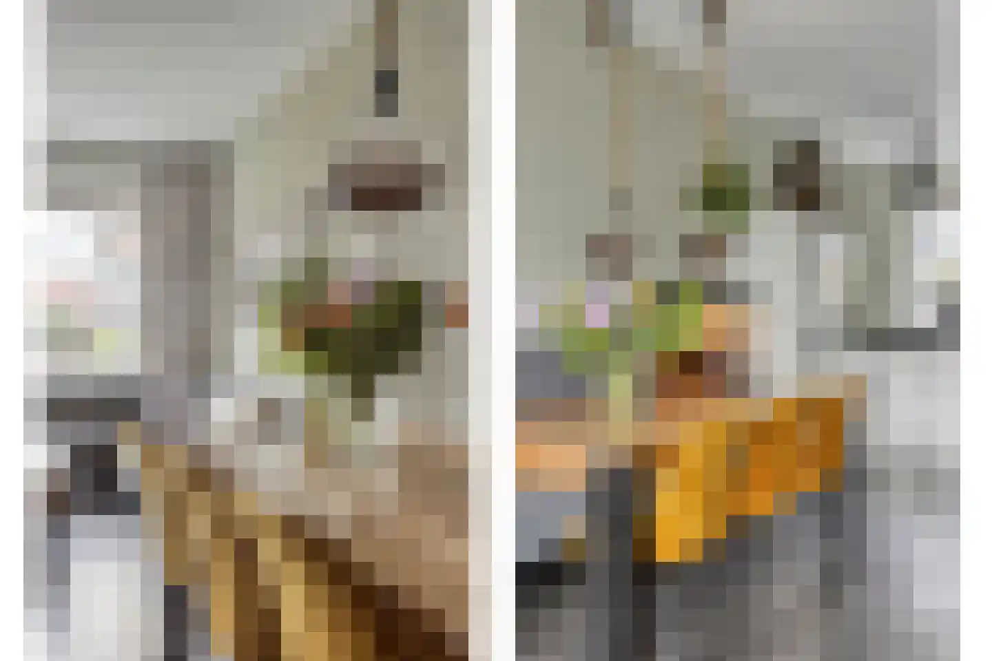 Mercuriusstraat 24 Nieuw-Lekkerland thumbnail 9