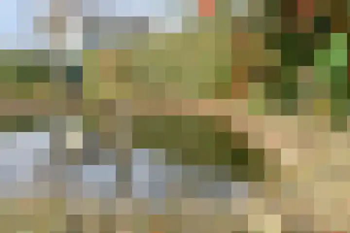 Mercuriusstraat 27 Asten thumbnail 33