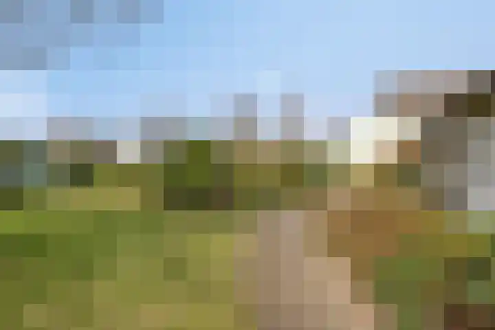 Mercuriusstraat 27 Asten thumbnail 35