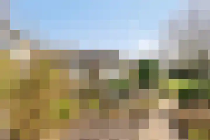 Mercuriusstraat 27 Asten thumbnail 38