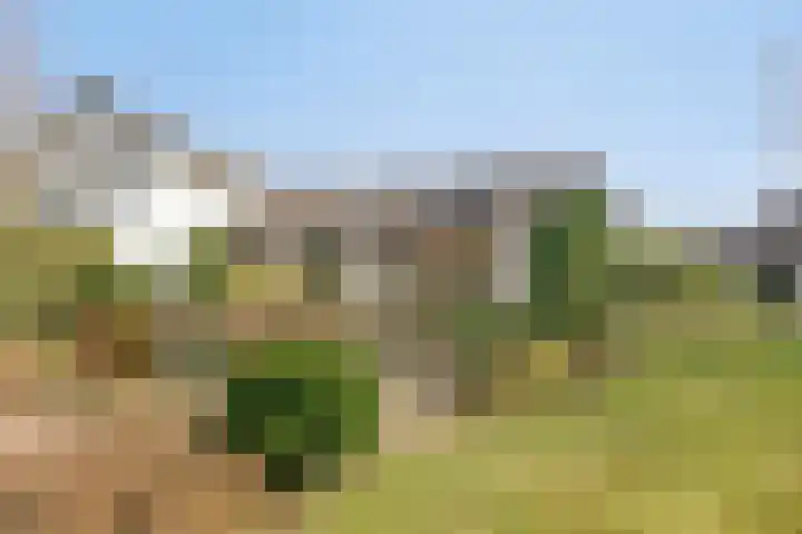 Mercuriusstraat 27 Asten thumbnail 39