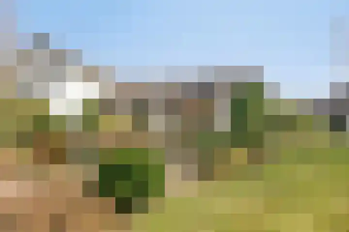 Mercuriusstraat 27 Asten thumbnail 5