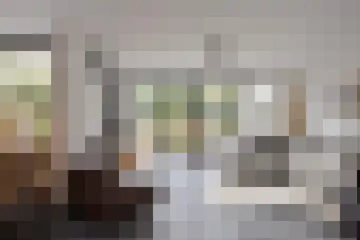 Mercuriusstraat 27 Berkel en Rodenrijs thumbnail 10