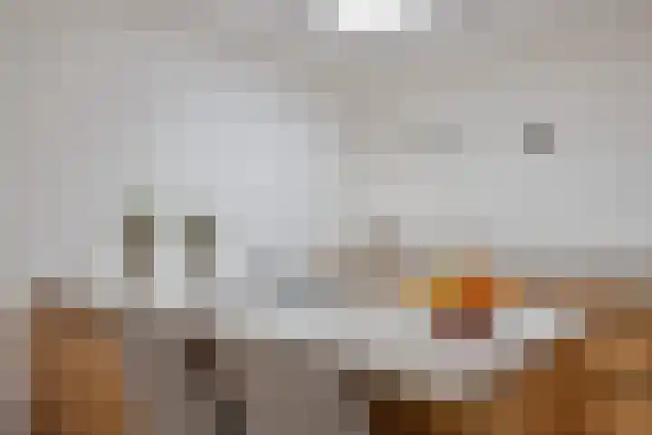 Mercuriusstraat 27 Berkel en Rodenrijs thumbnail 12